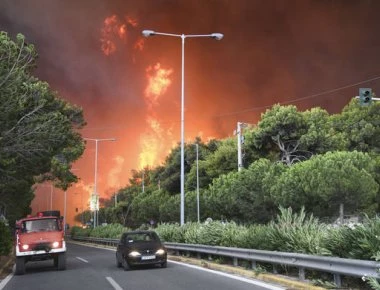 Επικεφαλής των εθελοντών δασοπυρόσβεσης: «Υπήρχε τεράστιος χρόνος για διάσωση»